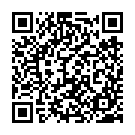 QR code for plate 9V3-6T4