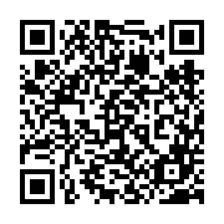 QR code for plate 9V5-6D6