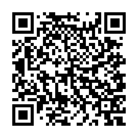 QR code for plate 9X6-4O3