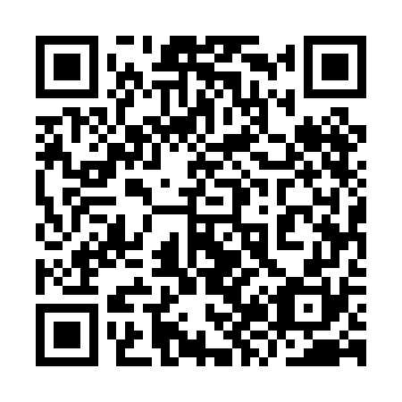 QR code for plate 9Z5-0G0