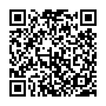 QR code for plate 9Z9-4E1