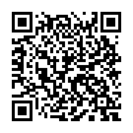QR code for plate A01-33G
