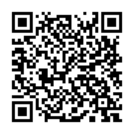 QR code for A0293G