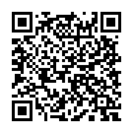 QR code for plate A04-55A