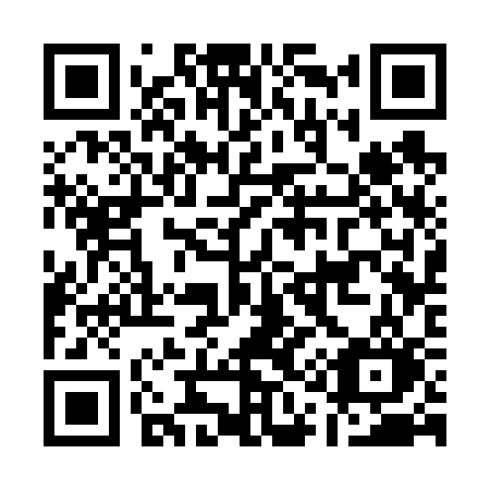 QR code for plate A13-63O