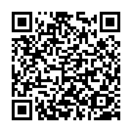 QR code for plate A25-13Z