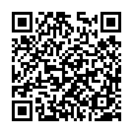 QR code for plate A28-66S