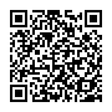 QR code for A29-11I