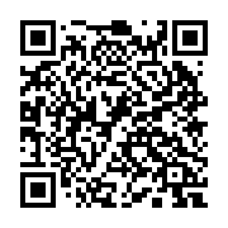 QR code for plate A31-20C