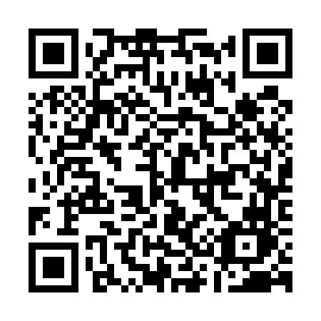QR code for plate A33-56N