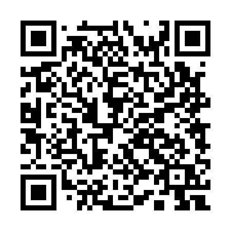 QR code for A3411Q