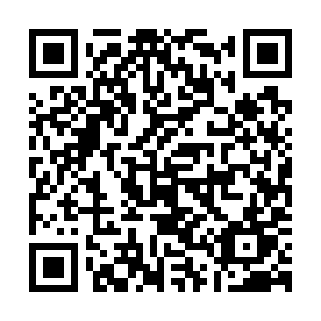QR code for plate A45-79T