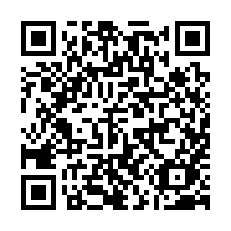QR code for A51-38M