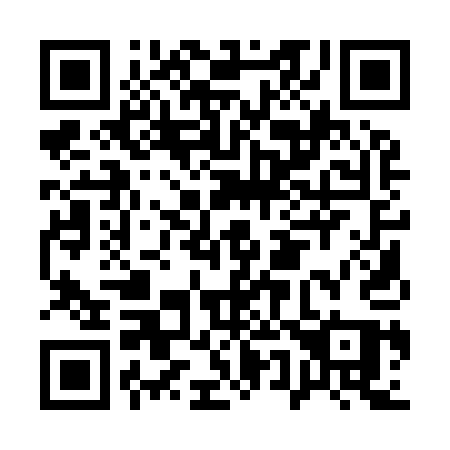 QR code for plate A51-91Q