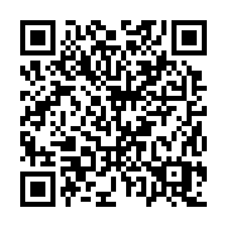 QR code for plate A52-38W