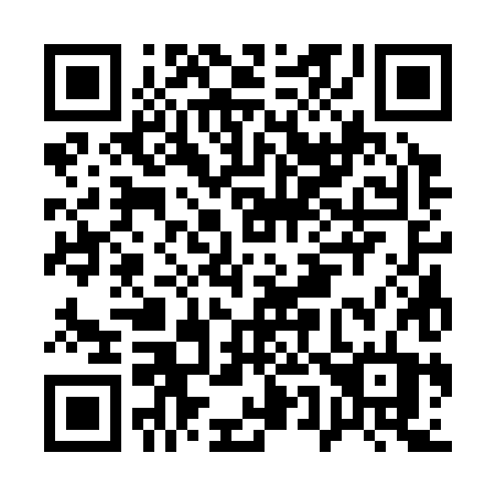 QR code for A53-38T