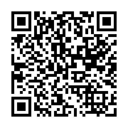 QR code for plate A63-19A