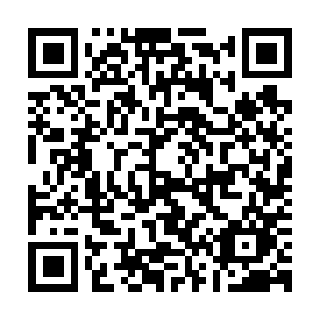 QR code for plate A66-60O