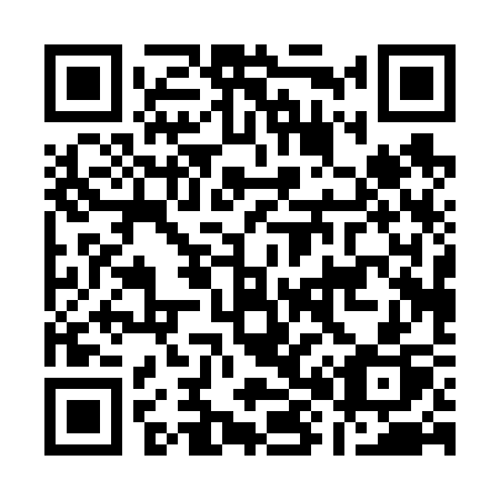 QR code for A80-63P