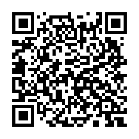QR code for plate A91-66F