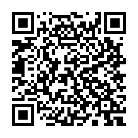 QR code for A95-17G