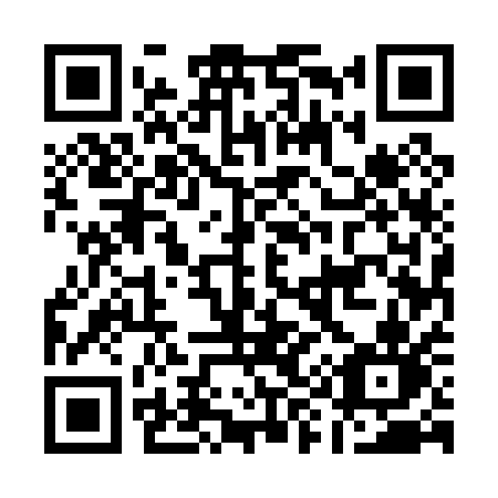 QR code for A9501N