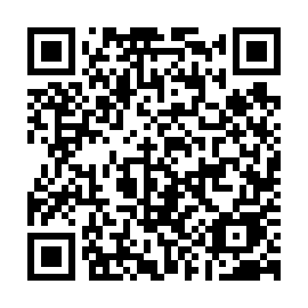 QR code for plate A96-65E