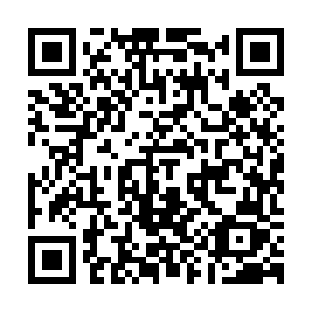 QR code for plate A99-06Z