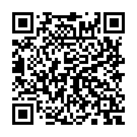 QR code for plate A99-95X