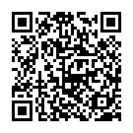 QR code for plate AAX-011