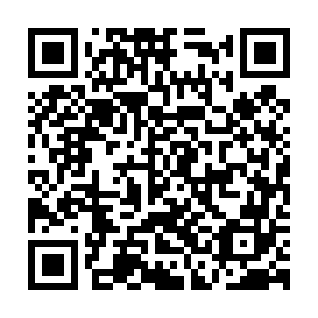 QR code for ACE-462
