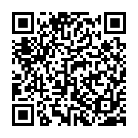 QR code for AHG313