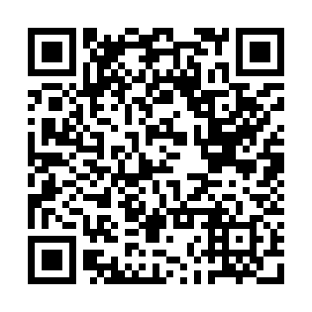 QR code for ANS938