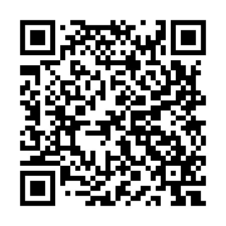 QR code for plate APC-917