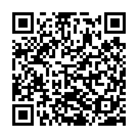 QR code for plate ARA-671
