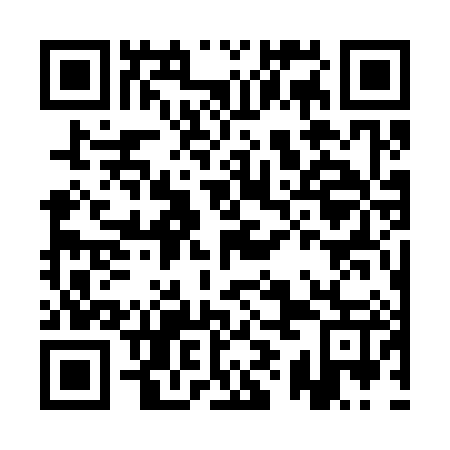 QR code for plate AYG-387