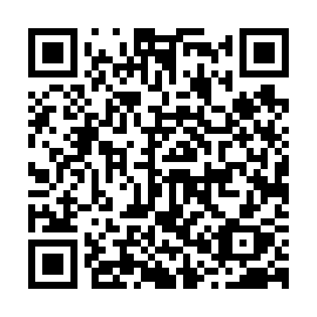 QR code for plate B04-63X