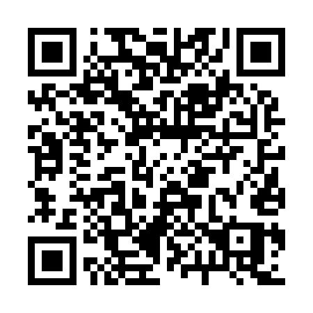 QR code for plate B06-95Q