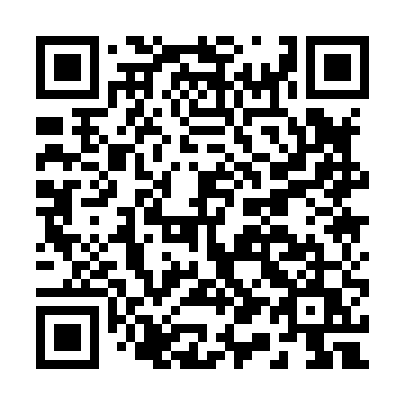 QR code for plate B11-85U
