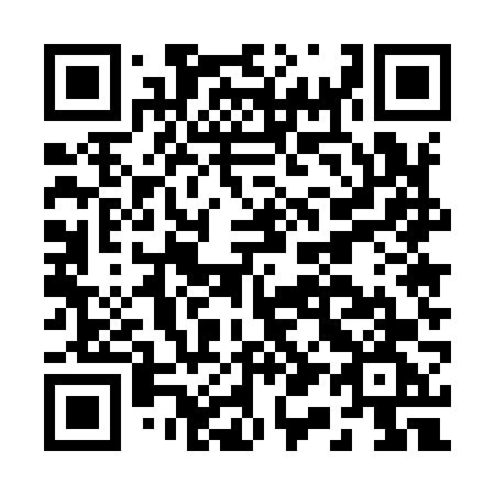QR code for plate B15-96G