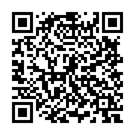 QR code for B17-85X