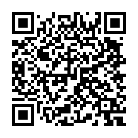 QR code for B2541P