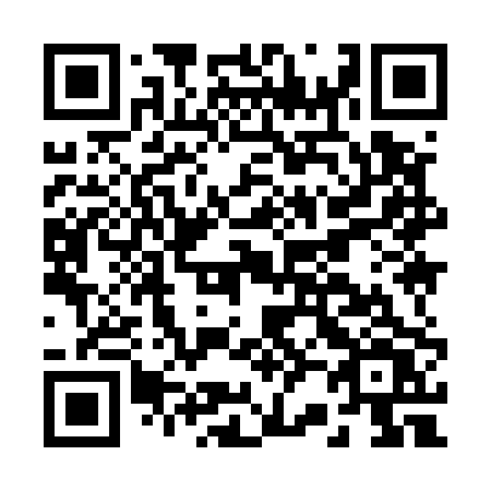 QR code for B29-50V
