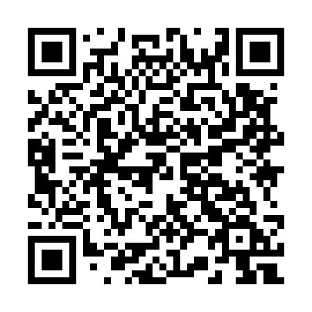 QR code for B29-53F