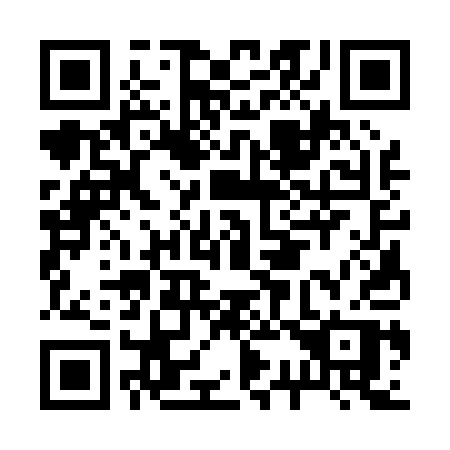 QR code for B33-01P