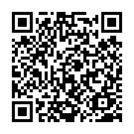 QR code for plate B53-67T