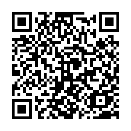 QR code for plate B55-29U