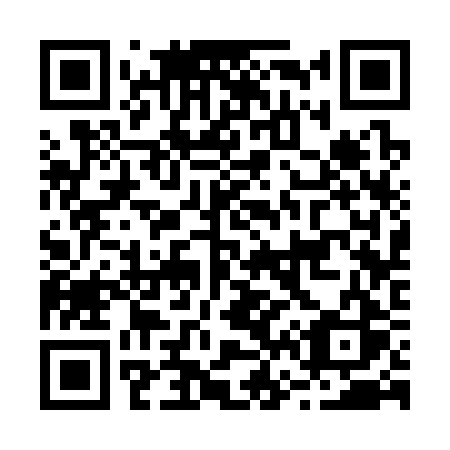QR code for plate B63-32S