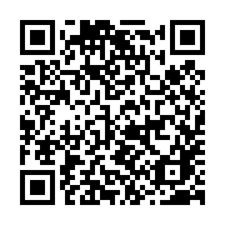 QR code for plate B63-48C