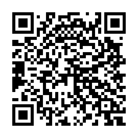 QR code for plate B85-06B